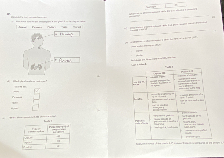 Diaphragm <96
Q1.
Which method of contraception in Table 1 is least effective at preventing
pregnancy?
Glands in the body produce hormones. (1)
(a) Use words from the box to label gland A and gland B on the diagram below.
(d) Which method of contraception in Table 1 will protect against sexually transmitted
diseases like HIV?
(e) Another method of contraception is called the intrauterine device (IUD). (1)
There are two main types of IUD:
copper
plastic
Both types of IUD are more than 99% effective.
Look at Table 2.
(2) 
(b) Which gland produces oestrogen? 
Tick one box. 
Ovary
Pancreas 
Testis 
Thyroild (1) 
(c) Table 1 shows some methods of contraception. 
ble 1 



Evaluate the use of the plastic IUD as a contraceptive compared to the copper IU