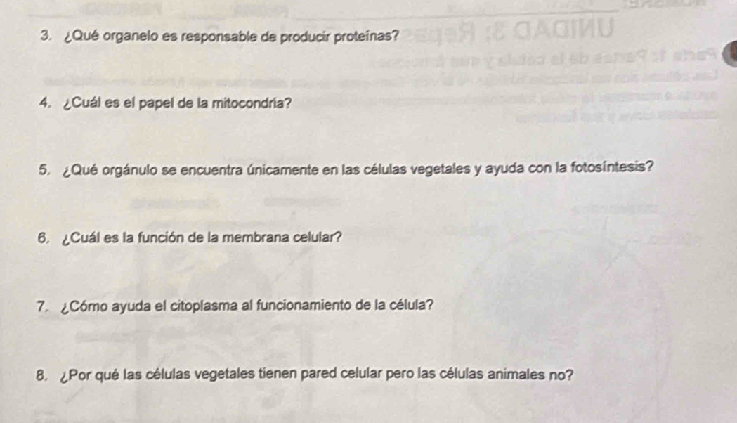 ¿Qué organelo es responsable de producir proteínas? 
4. ¿Cuál es el papel de la mitocondria? 
5. ¿Qué orgánulo se encuentra únicamente en las células vegetales y ayuda con la fotosíntesis? 
6. ¿Cuál es la función de la membrana celular? 
7. Cómo ayuda el citoplasma al funcionamiento de la célula? 
8. Por qué las células vegetales tienen pared celular pero las células animales no?