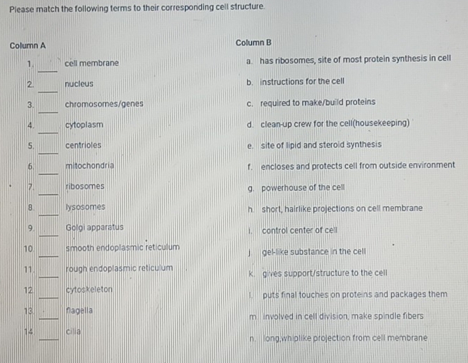 Please match the following terms to their corresponding cell structure.
Column A Column B
_
1. cell membrane a. has ribosomes, site of most protein synthesis in cell
_
2. nucleus b. instructions for the cell
_
3. chromosomes/genes c. required to make/build proteins
_
4. cytoplasm d. clean-up crew for the cell(housekeeping)
_
5. centrioles e. site of lipid and steroid synthesis
_
6 mitochondria f. encloses and protects cell from outside environment
_
7. ribosomes g. powerhouse of the cell
_
8. lysosomes h. short, hairlike projections on cell membrane
_
9. Golgi apparatus I. control center of cell
10 _smooth endoplasmic reticulum j gel-like substance in the cell
_
11. rough endoplasmic reticulum
k. gives support/structure to the cell
12 _cytoskeleton puts final touches on proteins and packages them
_
13 Nagella
m involved in cell division, make spindle fibers
_
14 cilia
n. long,whiplike projection from cell membrane