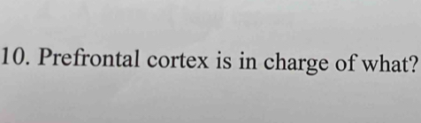 Prefrontal cortex is in charge of what?