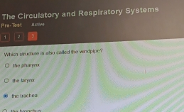 The Circulatory and Respiratory Systems
Pre-Test Active
1 2
Which structure is also called the windpipe?
the pharyro
the laryor
the trachea
the bronchus