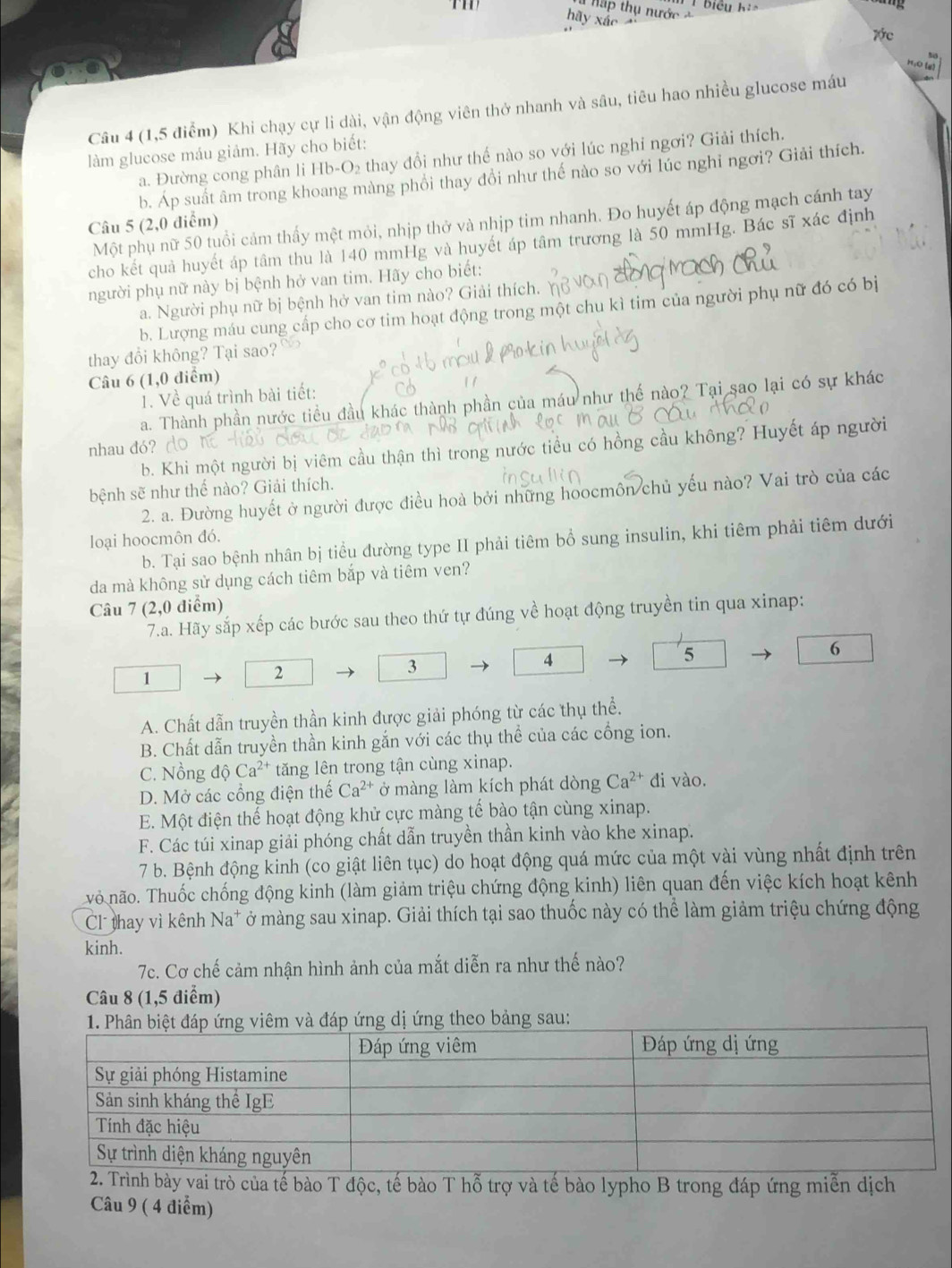 Hấp thụ nước  
hãy xáo
7ớc
   
Câu 4 (1,5 điểm) Khi chạy cự li dài, vận động viên thở nhanh và sâu, tiêu hao nhiều glucose máu
làm glucose máu giảm. Hãy cho biết:
a. Đường cong phân li Hb-O₂ thay đổi như thế nào so với lúc nghi ngơi? Giải thích.
b. Áp suất âm trong khoang màng phổi thay đổi như thế nào so với lúc nghỉ ngơi? Giải thích.
Một phụ nữ 50 tuổi cảm thấy mệt mỏi, nhịp thở và nhịp tim nhanh. Đo huyết áp động mạch cánh tay
Câu 5 (2,0 điểm)
cho kết quả huyết áp tâm thu là 140 mmHg và huyết áp tâm trương là 50 mmHg. Bác sĩ xác định
người phụ nữ này bị bệnh hở van tim. Hãy cho biết:
a. Người phụ nữ bị bệnh hở van tim nào? Giải thích.
b. Lượng máu cung cấp cho cơ tim hoạt động trong một chu kì tim của người phụ nữ đó có bị
thay đổi không? Tại sao?
Câu 6 (1,0 điểm)
1. Về quá trình bài tiết: 1
a. Thành phần nước tiểu đầu khác thành phần của máu như thế nào? Tại sao lại có sự khác
b. Khi một người bị viêm cầu thận thì trong nước tiểu có hồng cầu không? Huyết áp người
nhau đó? d
bệnh sẽ như thể nào? Giải thích.
2. a. Đường huyết ở người được điều hoà bởi những hoocmôn chủ yếu nào? Vai trò của các
loại hoocmôn đó.
b. Tại sao bệnh nhân bị tiểu đường type II phải tiêm bổ sung insulin, khi tiêm phải tiêm dưới
da mà không sử dụng cách tiêm bắp và tiêm ven?
Câu 7 (2,0 điểm)
7.a. Hãy sắp xếp các bước sau theo thứ tự đúng về hoạt động truyền tin qua xinap:
6
4
5
1
2
3
A. Chất dẫn truyền thần kinh được giải phóng từ các thụ thể.
B. Chất dẫn truyền thần kinh gắn với các thụ thể của các cổng ion.
C. Nồng dhat oCa^(2+) tăng lên trong tận cùng xinap.
D. Mở các cổng điện thế Ca^(2+) ở màng làm kích phát dòng Ca^(2+) di vào.
E. Một điện thế hoạt động khử cực màng tế bào tận cùng xinap.
F. Các túi xinap giải phóng chất dẫn truyền thần kinh vào khe xinap.
7 b. Bệnh động kinh (co giật liên tục) do hoạt động quá mức của một vài vùng nhất định trên
vo não. Thuốc chống động kinh (làm giảm triệu chứng động kinh) liên quan đến việc kích hoạt kênh
Cl thay vì kênh 1 Na* ở màng sau xinap. Giải thích tại sao thuốc này có thể làm giảm triệu chứng động
kinh.
7c. Cơ chế cảm nhận hình ảnh của mắt diễn ra như thế nào?
Câu 8 (1,5 điểm)
sau:
trò của tế bào T độc, tế bào T hỗ trợ và tế bào lypho B trong đáp ứng miễn dịch
Câu 9 ( 4 điểm)