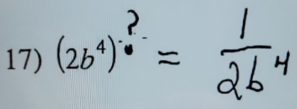 (2b^4)^- ?/·  =
□ 