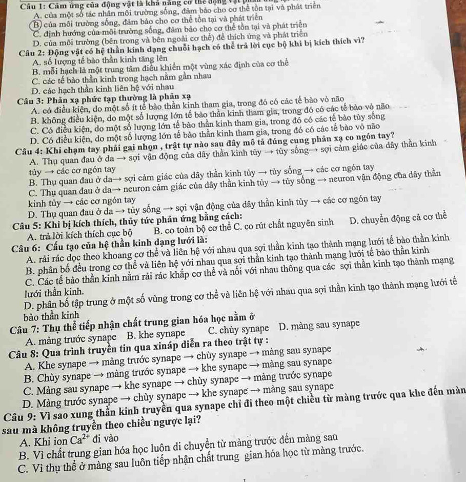 Căm ứng của động vật là khả năng cơ thể động vật
A. của một số tác nhân mội trường sống, đảm bảo cho cơ thể tồn tại và phát triển
B) của môi trường sống, đảm bảo cho cơ thể tồn tại và phát triển
C. định hướng của môi trường sống, đảm bảo cho cơ thể tồn tại và phát triển
D. của môi trường (bên trong và bên ngoài cơ thể) để thích ứng và phát triển
Câu 2: Động vật có hệ thần kinh dạng chuỗi hạch có thể trả lời cục bộ khi bị kích thích vì?
A. số lượng tế bào thần kinh tăng lên
B. mỗi hạch là một trung tâm điều khiển một vùng xác định của cơ thể
C. các tế bào thần kinh trong hạch nằm gần nhau
D. các hạch thần kinh liên hệ với nhau
Câu 3: Phản xạ phức tạp thường là phản xạ
A. có điều kiện, do một số ít tế bào thần kinh tham gia, trong đó có các tế bảo vỏ não
B. không điều kiện, do một số lượng lớn tế bào thần kinh tham gia, trong đó có các tế bào vỏ não
C. Có điều kiện, do một số lượng lớn tế bào thần kinh tham gia, trong đó có các tế bào tủy sống
D. Có điều kiện, do một số lượng lớn tế bào thần kinh tham gia, trong đó có các tế bào vỏ não
Câu 4: Khi chạm tay phải gai nhọn , trật tự nào sau đây mô tả đúng cung phản xạ co ngón tay?
A. Thụ quan đau ở da → sợi vận động của dây thần kinh tủy → tủy sống→ sợi cảm giác của dây thần kinh
tủy → các cơ ngón tay
B. Thụ quan đau ở da→ sợi cảm giác của dây thần kinh tủy → tủy sống → các cơ ngón tay
C. Thụ quan đau ở da→ neuron cảm giác của dây thần kinh tủy → tủy sống → neuron vận động của dây thần
kinh tủy → các cơ ngón tay
D. Thụ quan đau ở da → tủy sống → sợi vận động của dây thần kinh tủy → các cơ ngón tay
Câu 5: Khi bị kích thích, thủy tức phản ứng bằng cách:
A. trả lời kích thích cục bộ B. co toàn bộ cơ thể C. co rút chất nguyên sinh D. chuyển động cả cơ thể
Câu 6: Cấu tạo của hệ thần kinh dạng lưới là:
A. rải rác dọc theo khoang cơ thể và liên hệ với nhau qua sợi thần kinh tạo thành mạng lưới tế bảo thần kinh
B. phân bố đều trong cơ thể và liên hệ với nhau qua sợi thần kinh tạo thành mạng lưới tế bào thần kinh
C. Các tế bào thần kinh nằm rải rác khắp cơ thể và nối với nhau thông qua các sợi thần kinh tạo thành mạng
lưới thần kinh.
D. phân bố tập trung ở một số vùng trong cơ thể và liên hệ với nhau qua sợi thần kinh tạo thành mạng lưới tế
bào thần kinh
Câu 7: Thụ thể tiếp nhận chất trung gian hóa học nằm ở
A. màng trước synape B. khe synape C. chùy synape D. màng sau synape
Câu 8: Qua trình truyền tin qua xináp diễn ra theo trật tự :
A. Khe synape → màng trước synape → chùy synape → màng sau synape
B. Chùy synape → màng trước synape → khe synape → màng sau synape
C. Màng sau synape → khe synape → chùy synape → màng trước synape
D. Màng trước synape → chùy synape → khe synape → màng sau synape
Câu 9: Vì sao xung thần kinh truyền qua synape chỉ đi theo một chiều từ màng trước qua khe đến màn
sau mà không truyền theo chiều ngược lại?
A. Khi ion Ca^(2+) đi vào
B. Vì chất trung gian hóa học luôn di chuyển từ màng trước đến màng sau
C. Vì thụ thể ở màng sau luôn tiếp nhận chất trung gian hóa học từ màng trước.