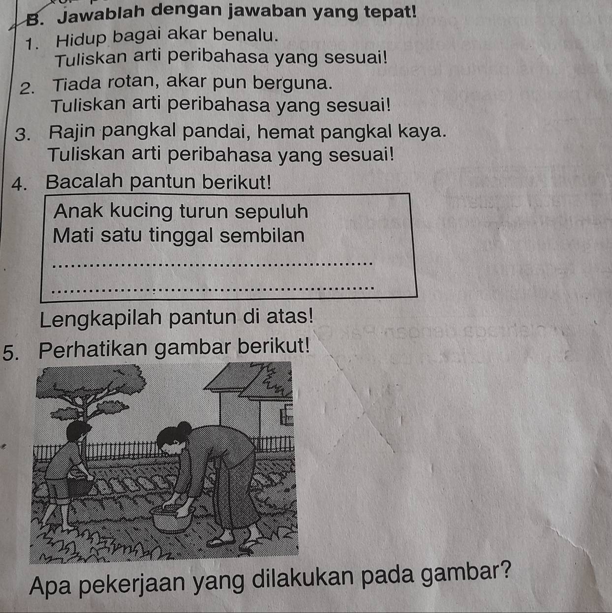 Jawablah dengan jawaban yang tepat! 
1. Hidup bagai akar benalu. 
Tuliskan arti peribahasa yang sesuai! 
2. Tiada rotan, akar pun berguna. 
Tuliskan arti peribahasa yang sesuai! 
3. Rajin pangkal pandai, hemat pangkal kaya. 
Tuliskan arti peribahasa yang sesuai! 
4. Bacalah pantun berikut! 
Anak kucing turun sepuluh 
Mati satu tinggal sembilan 
_ 
_ 
_ 
Lengkapilah pantun di atas! 
5. Perhatikan gambar berikut! 
Apa pekerjaan yang dilakukan pada gambar?