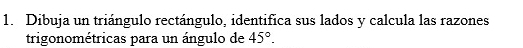 Dibuja un triángulo rectángulo, identifica sus lados y calcula las razones 
trigonométricas para un ángulo de 45°.