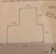 Calculate the area and perm
1 cm