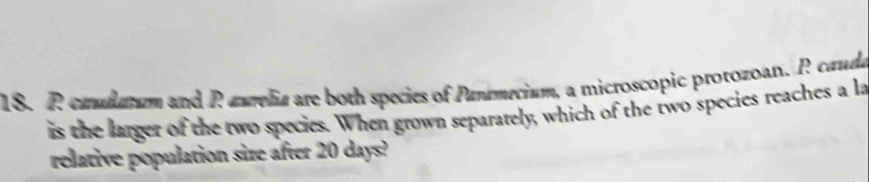 calatum and Raurelia are both species of Panamecium, a microscopic protozoan. R cauda 
is the larger of the two species. When grown separately, which of the two species reaches a la 
relative population size after 20 days?