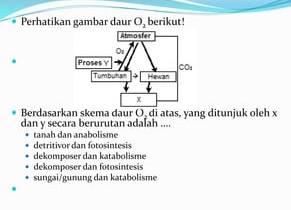 Perhatikan gambar daur O_2 berikut!
Berdasarkan skema daur O, di atas, yang ditunjuk oleh x
dan y secara berurutan adalah ....
tanah dan anabolisme
detritivor dan fotosintesis
dekomposer dan katabolisme
dekomposer dan fotosintesis
sungai/gunung dan katabolisme