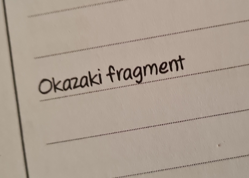 Okazaki fragment 
_ 
_