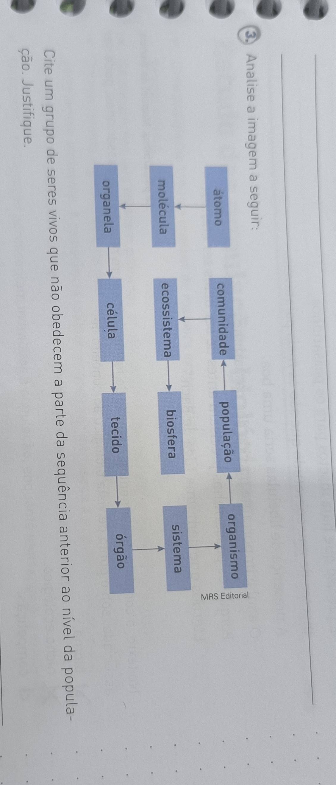 Analise a imagem a seguir: 
Cite um grupo de seres vivos que não obedecem a parte da sequência anterior ao nível da popula- 
ção. Justifique.