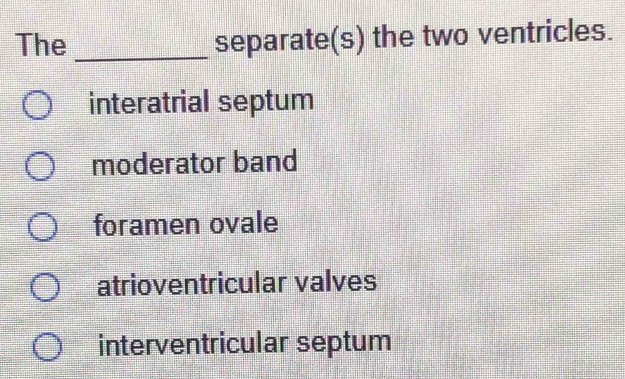 The_ separate(s) the two ventricles.
interatrial septum
moderator band
foramen ovale
atrioventricular valves
interventricular septum