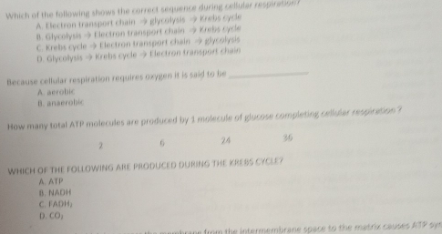 Which of the following shows the correct sequence during cellular respiration ?
A. Electron transport chain → glycolysis → Krebs cycle
B. Glycolysis → Electron transport chain → Krebs cycle
C. Krebs cycle → Electron transport chain → glycolysis
D. Glycollysis → Krebs cycle → Electron transport chain
Because cellular respiration requires oxygen it is said to be
_
A. aerobic
B. anaerobic
How many total ATP molecules are produced by 1 molecule of glucose completing cellular respiration ?
2 6 24 36
WhICH OF THE FOLLOWING ARE PRODUCED DURING THE KREBS CYCLE?
A. ATP
B. NADH
C. FADH;
D. CO;
e from the intermembrane space to the matrix causes ATP syr