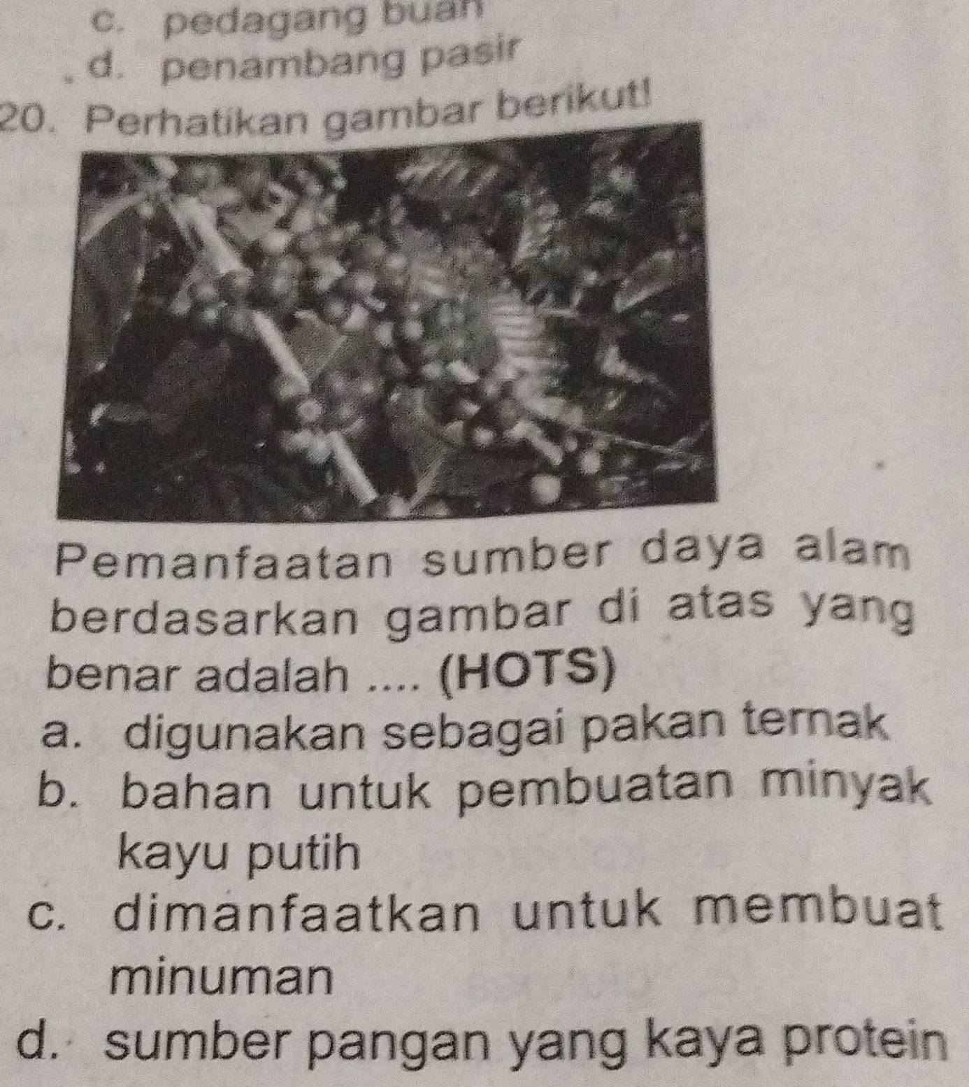 c. pedagang buan
d. penambang pasir
20. Perhatikan gambar berikut!
Pemanfaatan sumber daya alam
berdasarkan gambar di atas yang
benar adalah .... (HOTS)
a. digunakan sebagai pakan ternak
b. bahan untuk pembuatan minyak
kayu putih
c. dimanfaatkan untuk membuat
minuman
d. sumber pangan yang kaya protein