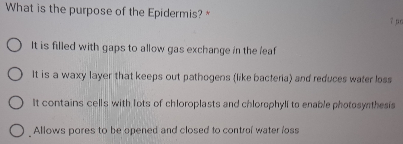 What is the purpose of the Epidermis? * 1 po
It is filled with gaps to allow gas exchange in the leaf
It is a waxy layer that keeps out pathogens (like bacteria) and reduces water loss
It contains cells with lots of chloroplasts and chlorophyll to enable photosynthesis
Allows pores to be opened and closed to control water loss