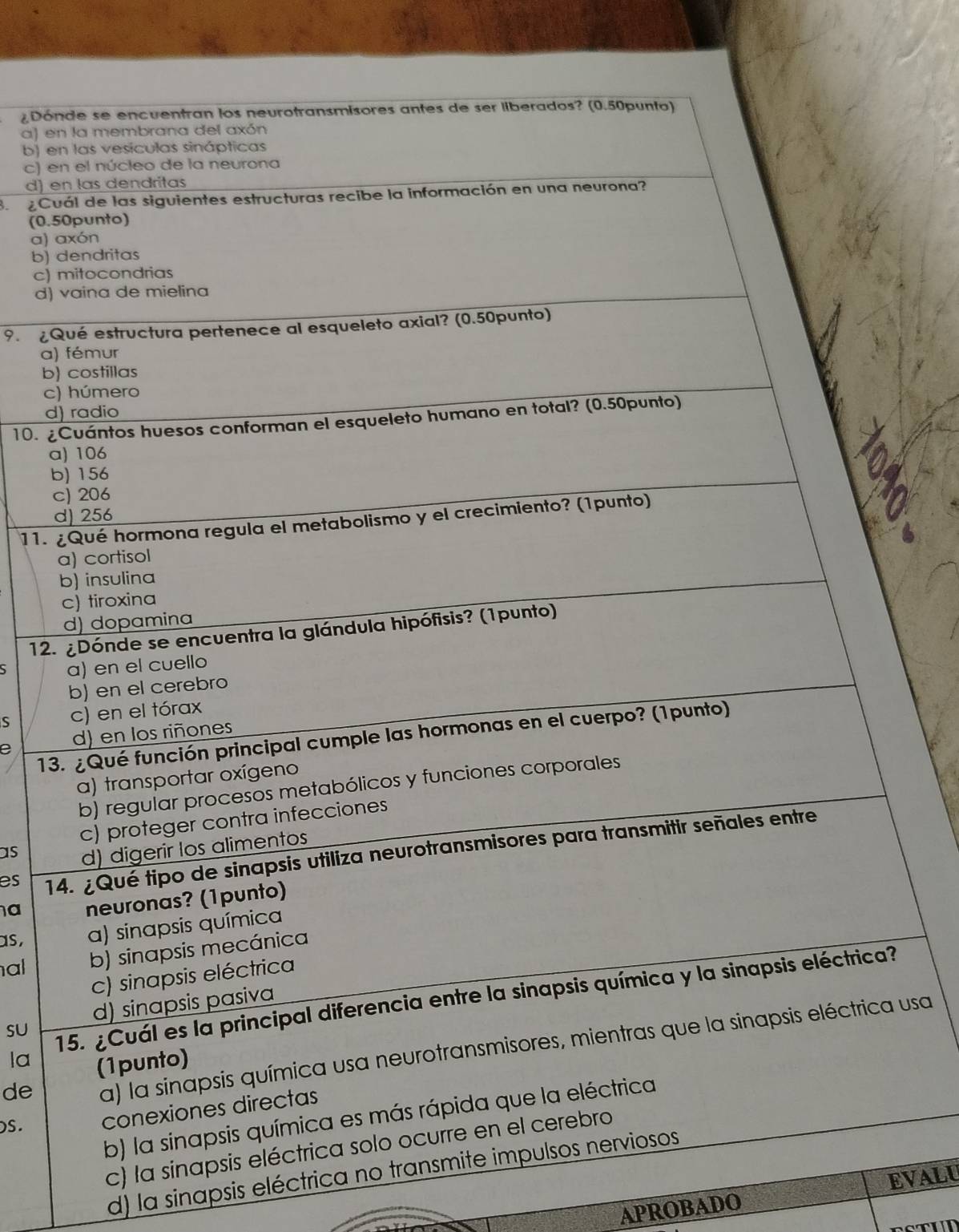 ¿Dón
a) en
b) en
c) en
d) e
B ¿Cu
(0.5
a) a
b)
c)
d) 
9. ¿Q
a)
b)
c)
d)
10. ¿
a
b
c
d
11. 
12. 
S 
13
e 
as 
es 1
a 
as, 
al 
SU
deusa
la
S.
c) la si
d) la sinapsis eléctrica no t
APROBADO EVALU