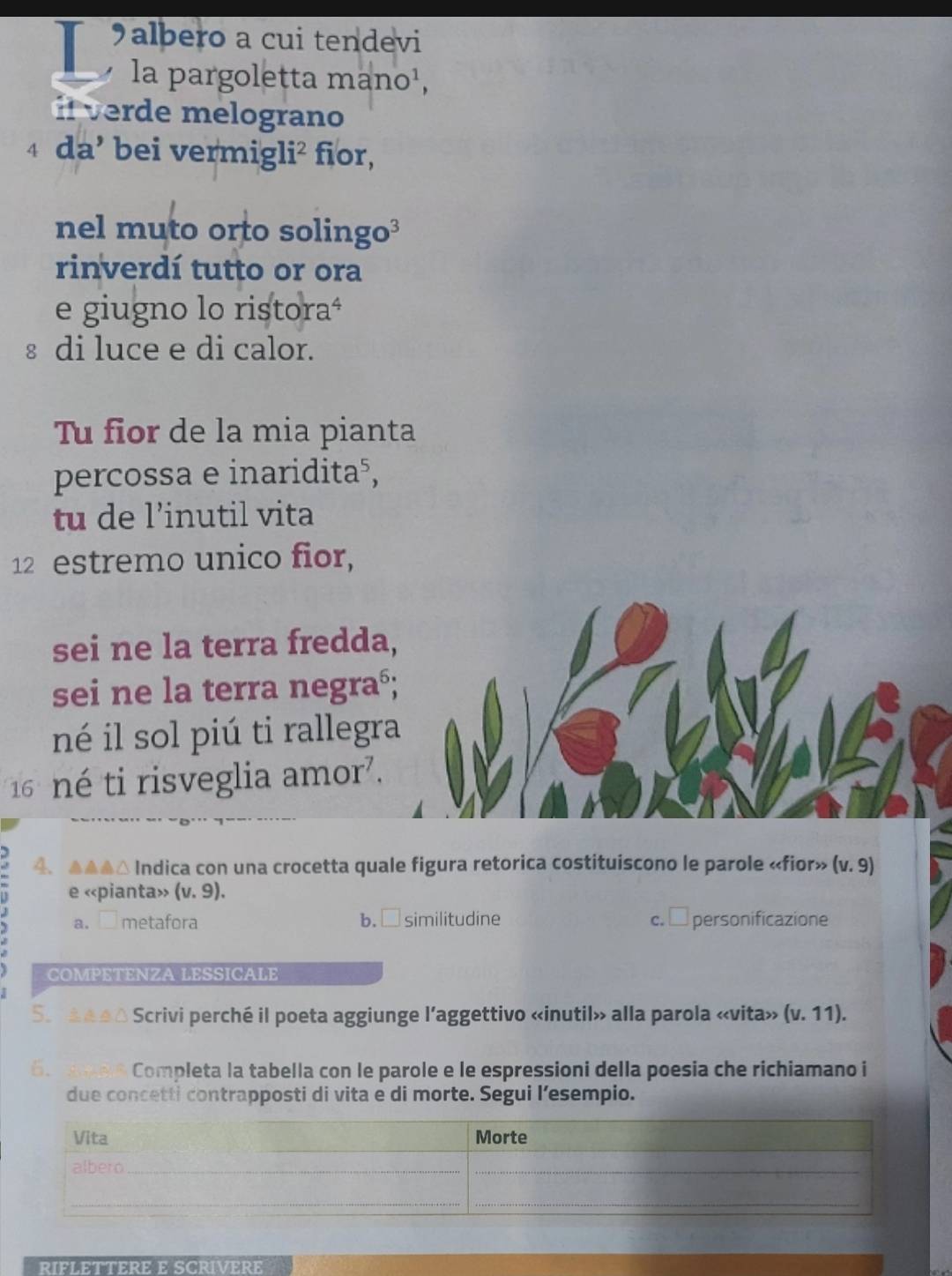 albero a cui tendevi
la pargoletta mano¹,
d e me lograno
4 da' bei vermig! i^2 fior,
nel muto orto solingo³
rinverdí tutto or ora
e giugno lo ristoraª
§ di luce e di calor.
Tu fior de la mia pianta
percossa e inaridita⁵,
tu de l’inutil vita
12 estremo unico fior,
sei ne la terra fredda,
sei ne la terra negraó;
né il sol piú ti rallegra
16 né ti risveglia amor'.
4、 ▲▲▲△ Indica con una crocetta quale figura retorica costituiscono le parole «fior» (v.9)
e (v. 9).
a. □ metafora b. similitudine c. □ personificazione
COMPETENZA LESSICALE
S. éa d △ Scrivi perché il poeta aggiunge l’aggettivo «inutil» alla parola «vita» (v.11). 
6. e s Completa la tabella con le parole e le espressioni della poesia che richiamano i
due concetti contrapposti di vita e di morte. Segui l’esempio.
RIFLETTERE E SCRIVERE