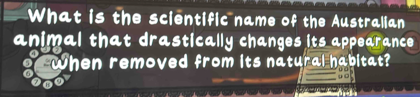 What is the scientific name of the Australian 
animal that drastically changes its appearance . 
④
6 when removed from its natural habitat? 
_
6