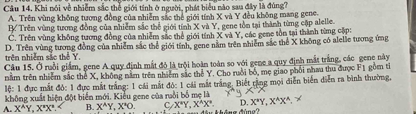 Khi nói về nhiễm sắc thể giới tính ở người, phát biểu nào sau đây là đúng?
A. Trên vùng không tương đồng của nhiễm sắc thể giới tính X và Y đều không mang gene.
B. Trên vùng tương đồng của nhiễm sắc thể giới tính X và Y, gene tồn tại thành từng cặp alelle.
C. Trên vùng không tương đồng của nhiễm sắc thể giới tính X và Y, các gene tồn tại thành từng cặp:
D. Trên vùng tương đồng của nhiễm sắc thể giới tính, gene nằm trên nhiễm sắc thể X không có alelle tương ứng
trên nhiễm sắc thể Y.
Câu 15. Ở ruồi giấm, gene A quy định mắt đỏ là trội hoàn toàn so với gene a quy định mắt trắng, các gene này
tnằm trên nhiễm sắc thể X, không nằm trên nhiễm sắc thể Y. Cho ruồi bố, mẹ giao phối nhau thu được F1 gồm tỉ
lệ: 1 đực mắt đỏ: 1 đực mắt trắng: 1 cái mắt đỏ: 1 cái mắt trắng. Biết rằng mọi diễn biến diễn ra bình thường,
không xuất hiện đột biến mới. Kiểu gene của ruồi bố mẹ là
D. X^aY, X^AX^A.
A. X^AY, X^BX^n. B. X^(wedge)Y, X^2O. C X^aY, X^AX^a. y không đúng?