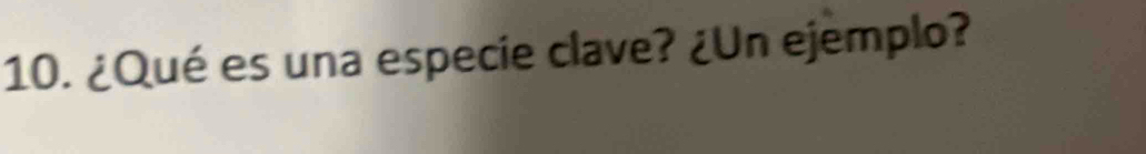 ¿Qué es una especie clave? ¿Un ejemplo?