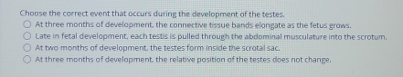 Choose the correct event that occurs during the development of the testes.
At three months of development, the connective tissue bands elongate as the fetus grows,
Late in fetal development, each testis is pulled through the abdominal musculature into the scrotum,
At two months of development, the testes form inside the scrotal sac,
At three months of development, the relative position of the testes does not change,