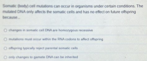 Somatic (body) cell mutations can occur in organisms under certain conditions. The
mutated DNA only affects the somatic cells and has no effect on future offspring
because ...
changes in somatic cell DNAare homozygous recessive
mutations must occur within the RNA codons to affect offspring
ofhipring typically reject parental somatic cells
only changes to gamete DNA can be inherited