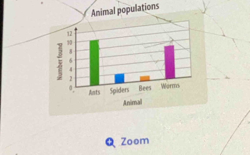 Animal populations 
Zoom