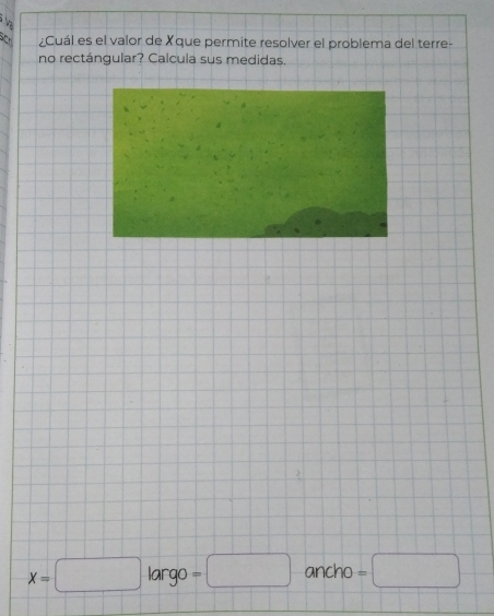 ¿Cuál es el valor de Xque permite resolver el problema del terre-
no rectángular? Calcula sus medidas.
(□)°
largo ancho =