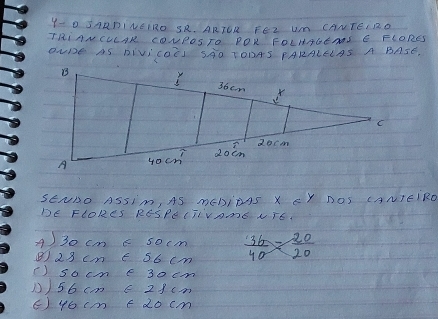 Y- 0 SARDINEIRO SR. ARICR FEZ UM CANTEI RD
TRI ANCLLAK COUPOSTO POK FOLHAGEANS E FLORES
OUDE AS DIVICOCI SAO TODAS PARALELAS A BASE,
SENDO ASSIMm, AS MCDIPAS X CY DOS CANIEIRD
DE FLORES RESPE(TIVAmS UTE
A) 30 cm E socm  36/40 = 20/20 
B) 23 cm E 56 cm
() socme 30cm
1) 56 cm C 28cm
() 46 cm Edocm
