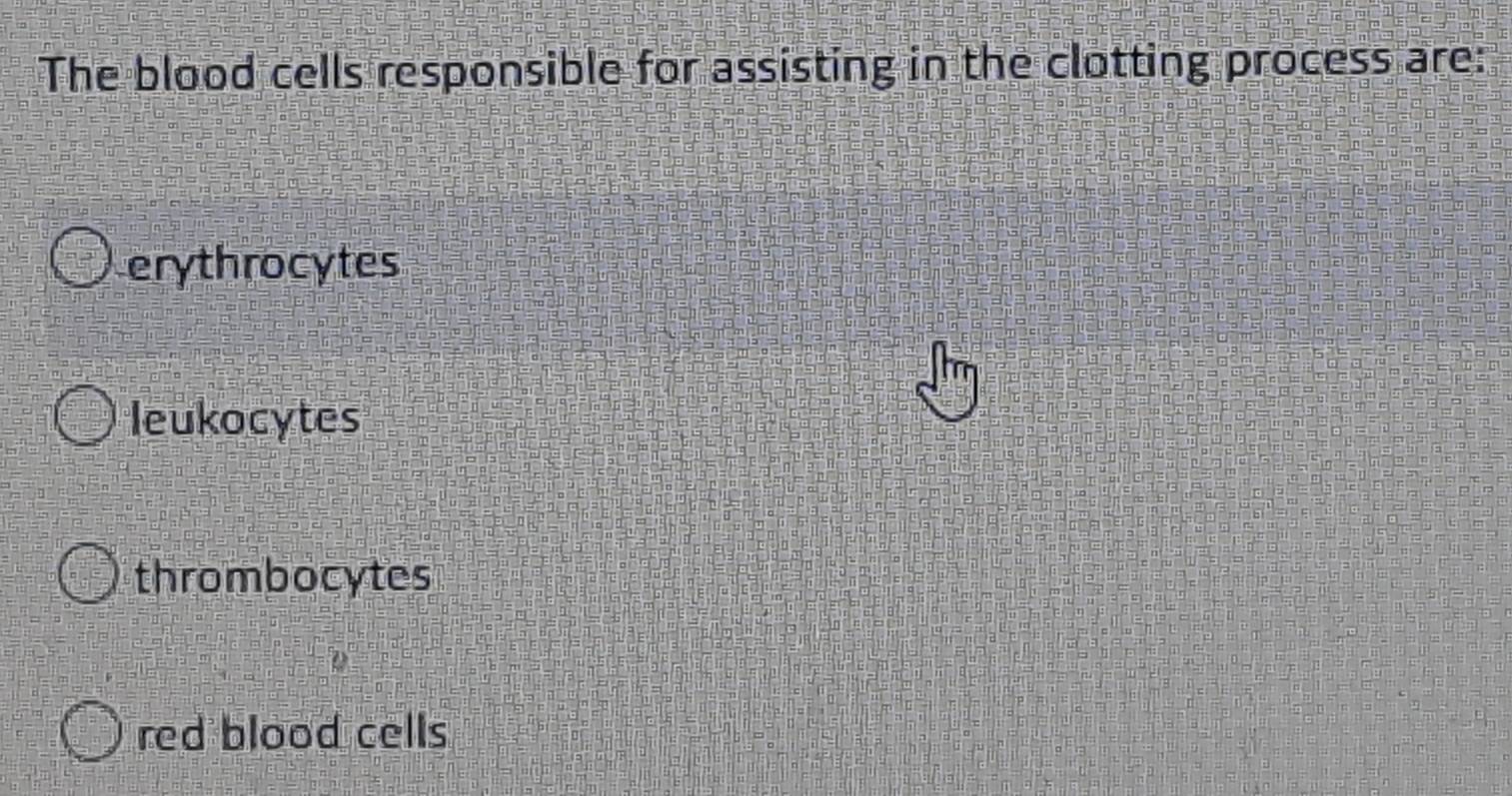 The blood cells responsible for assisting in the clotting process are:
erythrocytes
leukocytes
thrombocytes
red blood cells