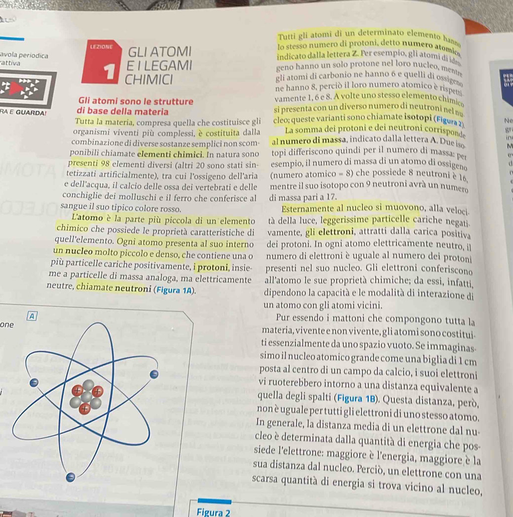 Tutti gli atomì di un determinato elemento hanno
LEZIONE GLI ATOMI
lo stesso numero di protoni, detto numero atomic
avola períódica indicato dalla lettera Z. Per esempio, gli atomi dí idro
E I LEGAMI geno hanno un solo protone nel loro nucleo, mentre
attiva 1 CHIMICI
gli atomi di carbonio ne hanno 6 e quelli di ossigeno
ne hanno 8, perció il loro numero atomico è rispetti
Gli atomi sono le strutture vamente 1, 6 e 8. A volte uno stesso elemento chímico
RA E GUARDA! di base della materia si presenta con un diverso numero di neutroni nel nu
Tutta la materia, compresa quella che costituisce gli cleo; queste varianti sono chiamate isotopi (Figura 2) Ne
organismi viventi più complessi, è costituita dalla La somma dei protoni e dei neutroni corrisponde gr
in
combinazione di diverse sostanze semplici non scom- al numero di massa, indicato dalla lettera A. Due iso M
ponibili chiamate elementi chimici. In natura sono topi differiscono quindi per il numero di massa: per
presenti 98 elementi diversi (altri 20 sono stati sin- esempio, il numero di massa di un atomo di ossìgeno   
tetizzati artificialmente), tra cui l’ossigeno dell'aria  (numero atomico = 8) che possiede 8 neutroni è 16.
e dell’acqua, il calcio delle ossa dei vertebrati e delle mentre il suo isotopo con 9 neutroni avrà un numero
conchiglie dei molluschi e il ferro che conferisce al di massa pari a 17.
sangue il suo tipico colore rosso. Esternamente al nucleo si muovono, alla veloci
L'atomo è la parte più piccola di un elemento tà della luce, leggerissime particelle cariche negati
chimico che possiede le proprietà caratteristiche di vamente, gli elettroni, attratti dalla carica positiva
quell’elemento. Ogni atomo presenta al suo interno dei protoni. In ogni atomo elettricamente neutro, i
un nucleo molto piccolo e denso, che contiene una o numero di elettroni è uguale al numero dei protoni
più particelle cariche positivamente, i protoni, insie- presenti nel suo nucleo. Gli elettroni conferiscono
me a particelle di massa analoga, ma elettricamente all'atomo le sue proprietà chimiche; da essi, infatti,
neutre, chiamate neutroni (Figura 1A). dipendono la capacità e le modalità di interazione di
un atomo con gli atomi vicini.
Pur essendo i mattoni che compongono tutta la
onemateria, vivente e non vivente, gli atomi sono costitui
ti essenzialmente da uno spazio vuoto. Se immaginas-
simo il nucleo atomico grande come una biglia di 1 cm
posta al centro di un campo da calcio, i suoi elettroni
vi ruoterebbero intorno a una distanza equivalente a
quella degli spalti (Figura 1B). Questa distanza, però,
non è uguale per tutti gli elettroni di uno stesso atomo.
In generale, la distanza media di un elettrone dal nu-
cleo è determinata dalla quantità di energia che pos-
siede l'elettrone: maggiore è l'energia, maggiore è la
sua distanza dal nucleo. Perciò, un elettrone con una
scarsa quantità di energia si trova vicino al nucleo,
Figura 2