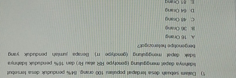 Dalam sebuah desa terdapat populasi 100 orang. 84% penduduk desa tersebut
lidahnya dapat menggulung (genotype RR atau Rr) dan 16% penduduk lidahnya
tidak dapat menggulung (genotype rr). Berapa jumlah penduduk yang
bergenotipe heterozigot?
A 16 Orang
B. 36 Orang
C. 48 Orang
D. 64 Orang
E 81 Oranq