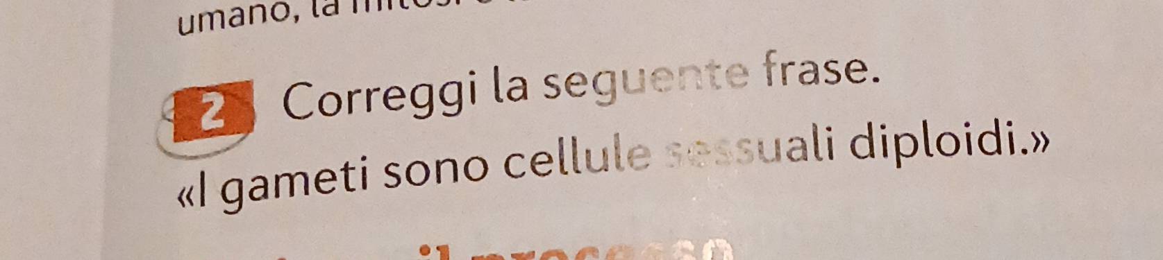 umano, l a m 
2 Correggi la seguente frase. 
«I gameti sono cellule sessuali diploidi.»