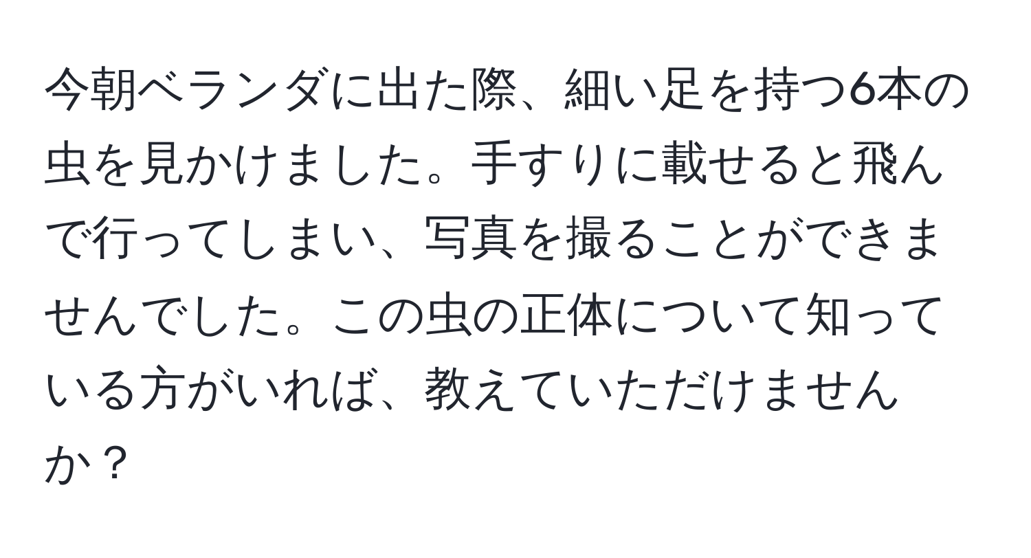 今朝ベランダに出た際、細い足を持つ6本の虫を見かけました。手すりに載せると飛んで行ってしまい、写真を撮ることができませんでした。この虫の正体について知っている方がいれば、教えていただけませんか？