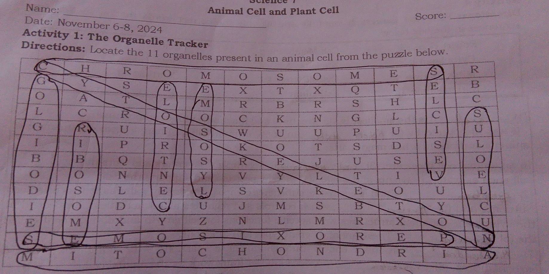 Name: 
Animal Cell and Plant Cell 
_ 
Score:_ 
Date: November 6-8, 2024 
Activity 1: The Organelle Tracker 
Directions: Lo