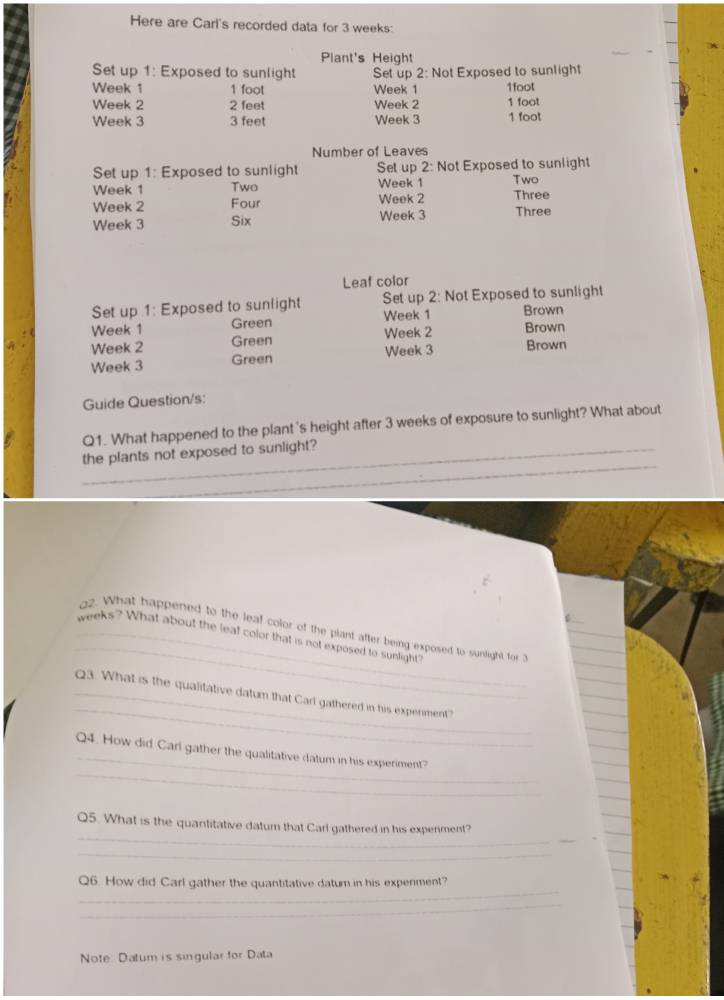 Here are Carl's recorded data for 3 weeks : 
Plant's Height 
et up 1: Exposed to sunlight Set up 2: Not Exposed to sunlight
Week 1 1 foot Week 1 1foot
Week 2 2 feet Week 2 1 foot
Week 3 3 feet Week 3 1 foot
Number of Leaves 
Set up 1: Exposed to sunlight Set up 2: Not Exposed to sunlight
Week 1 Two Week 1 Two
Week 2 Four Week 2 Three
Week 3 Six Week 3 Three 
Leaf color 
Set up 1: Exposed to sunlight Set up 2: Not Exposed to sunlight
Week 1 Green Week 1 Brown
Week 2 Green Week 2 Brown
Week 3 Green Week 3 Brown 
Guide Question/s: 
Q1. What happened to the plant 's height after 3 weeks of exposure to sunlight? What about 
_ 
the plants not exposed to sunlight? 
C 
_ 
o2. What happened to the leaf color of the plant after being exposed to sunlight for 
_weeks? What about the leaf color that is not exposed to sunlight? 
_ 
_Q3. What is the qualitative datur that Carl gathered in his expenment? 
_ 
_ 
Q4. How did Carl gather the qualitative datum in his experiment? 
_ 
_ 
Q5. What is the quantitative datum that Carl gathered in his expenment? 
_ 
_ 
Q6. How did Carl gather the quantitative datum in his experment? 
_ 
Note: Datum is singular for Data