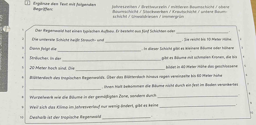 Ergänze den Text mit folgenden Jahreszeiten / Brettwurzeln / mittleren Baumschicht / obere 
Begriffen: Baumschicht / Stockwerken / Krautschicht / untere Baum- 
schicht / Urwaldriesen / immergrün 
1 Der Regenwald hat einen typischen Aufbau. Er besteht aus fünf Schichten oder _. 1 
2 Die unterste Schicht heißt Strauch- und _. Sie reicht bis 10 Meter Höhe. 2
_ 
3 Dann folgt die . In dieser Schicht gibt es kleinere Bäume oder höhere 3
_
4 Sträucher. In der gibt es Bäume mit schmalen Kronen, die bis 4
5 20 Meter hoch sind. Die _bildet in 40 Meter Höhe das geschlossene 5
6 Blätterdach des tropischen Regenwalds. Über das Blätterdach hinaus ragen vereinzelte bis 60 Meter hohe 6
7 
_ 
. Ihren Halt bekommen die Bäume nicht durch ein fest im Boden verankertes 7
8 
8 Wurzelwerk wie die Bäume in der gemäßigten Zone, sondern durch_ 
9 Weil sich das Klima im Jahresverlauf nur wenig ändert, gibt es keine _. 9 
1o 
10 Deshalb ist der tropische Regenwald_ 
.