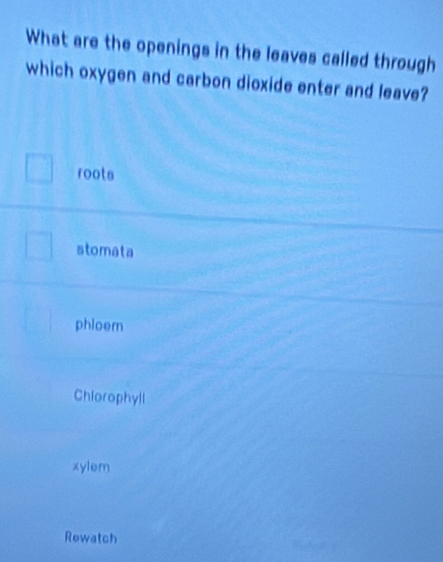 What are the openings in the leaves called through
which oxygen and carbon dioxide enter and leave?
roots
stomata
phloem
Chiorophyll
xylem
Rewatch