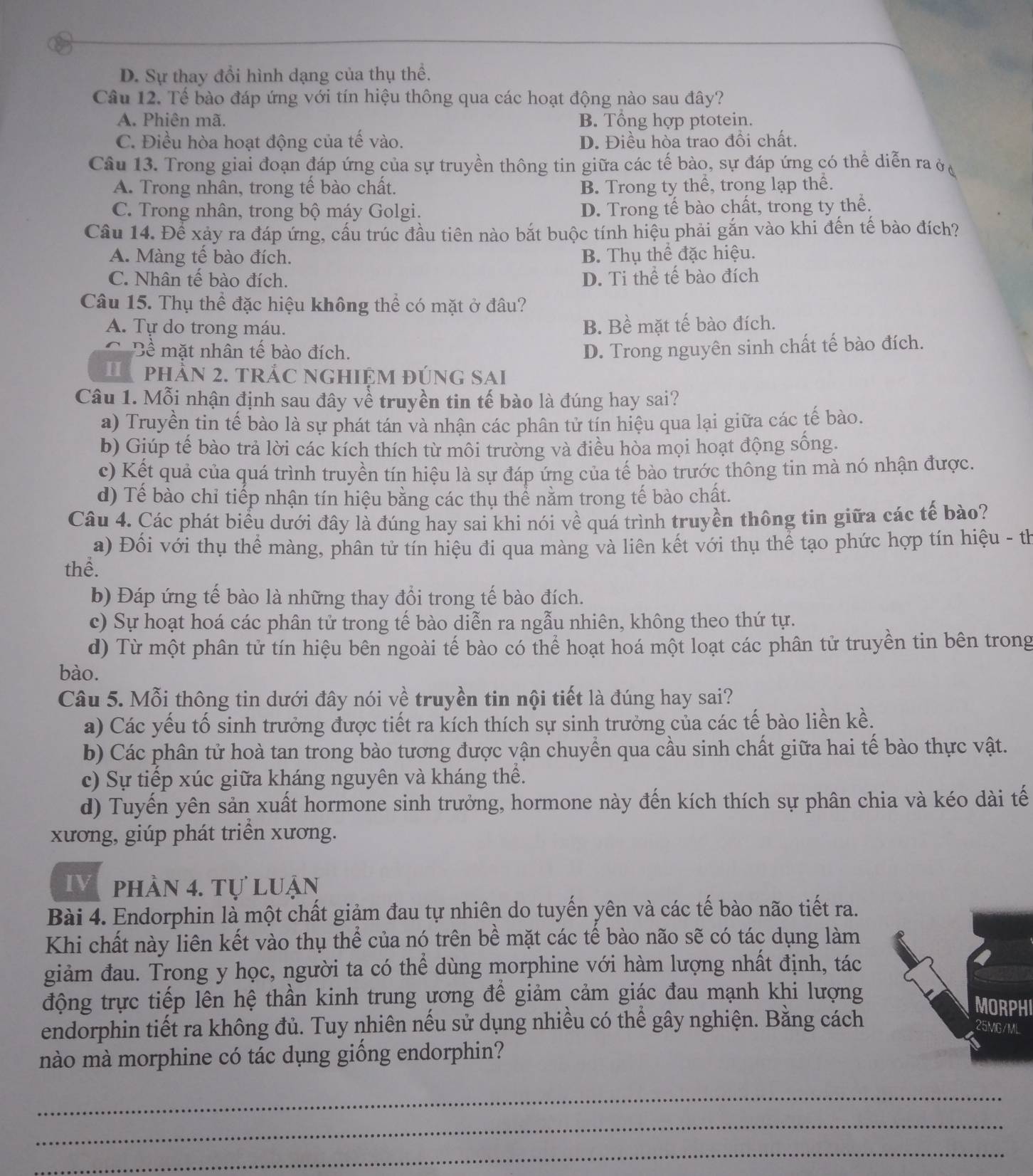 D. Sự thay đổi hình dạng của thụ thể.
Câu 12. Tế bào đáp ứng với tín hiệu thông qua các hoạt động nào sau đây?
A. Phiên mã. B. Tổng hợp ptotein.
C. Điều hòa hoạt động của tế vào. D. Điều hòa trao đồi chất.
Câu 13. Trong giai đoạn đáp ứng của sự truyền thông tin giữa các tế bào, sự đáp ứng có thể diễn ra ở
A. Trong nhân, trong tế bào chất. B. Trong ty thể, trong lạp thể.
C. Trong nhân, trong bộ máy Golgi. D. Trong tế bào chất, trong ty thể.
Cầu 14. Để xảy ra đáp ứng, cấu trúc đầu tiên nào bắt buộc tính hiệu phải gắn vào khi đến tế bào đích?
A. Màng tế bào đích. B. Thụ thể đặc hiệu.
C. Nhân tế bào đích. D. Ti thể tế bào đích
Câu 15. Thụ thể đặc hiệu không thể có mặt ở đâu?
A. Tự do trong máu. B. Bề mặt tế bào đích.
Bề mặt nhân tế bào đích. D. Trong nguyên sinh chất tế bào đích.
T phần 2. trác nghiệm đúng sai
Câu 1. Mỗi nhận định sau đây về truyền tin tế bào là đúng hay sai?
a) Truyền tin tế bào là sự phát tán và nhận các phân tử tín hiệu qua lại giữa các tế bào.
b) Giúp tế bào trả lời các kích thích từ môi trường và điều hòa mọi hoạt động sống.
c) Kết quả của quá trình truyền tín hiệu là sự đáp ứng của tế bào trước thông tin mà nó nhận được.
d) Tế bào chỉ tiếp nhận tín hiệu bằng các thụ thể năm trong tế bào chất.
Câu 4. Các phát biểu dưới đây là đúng hay sai khi nói về quá trình truyền thông tin giữa các tế bào?
a) Đối với thụ thể màng, phân tử tín hiệu đi qua màng và liên kết với thụ thể tạo phức hợp tín hiệu - th
thể.
b) Đáp ứng tế bào là những thay đổi trong tế bào đích.
c) Sự hoạt hoá các phân tử trong tế bào diễn ra ngẫu nhiên, không theo thứ tự.
d) Từ một phân tử tín hiệu bên ngoài tế bào có thể hoạt hoá một loạt các phân tử truyền tin bên trong
bào.
Câu 5. Mỗi thông tin dưới đây nói về truyền tin nội tiết là đúng hay sai?
a) Các yếu tố sinh trưởng được tiết ra kích thích sự sinh trưởng của các tế bào liền kề.
b) Các phân tử hoà tan trong bào tương được vận chuyển qua cầu sinh chất giữa hai tế bào thực vật.
c) Sự tiếp xúc giữa kháng nguyên và kháng thể.
d) Tuyến yên sản xuất hormone sinh trưởng, hormone này đến kích thích sự phân chia và kéo dài tế
xương, giúp phát triển xương.
IV  phần 4. tự luận
Bài 4. Endorphin là một chất giảm đau tự nhiên do tuyến yên và các tế bào não tiết ra.
Khi chất này liên kết vào thụ thể của nó trên bề mặt các tế bào não sẽ có tác dụng làm
giảm đau. Trong y học, người ta có thể dùng morphine với hàm lượng nhất định, tác
động trực tiếp lên hệ thần kinh trung ương để giảm cảm giác đau mạnh khi lượngMORPHI
endorphin tiết ra không đủ. Tuy nhiên nếu sử dụng nhiều có thể gây nghiện. Bằng cách
mào mà morphine có tác dụng giống endorphin?
_
_
_