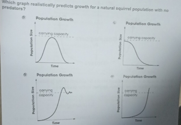 Which graph realistically predicts growth for a natural squirrel ...