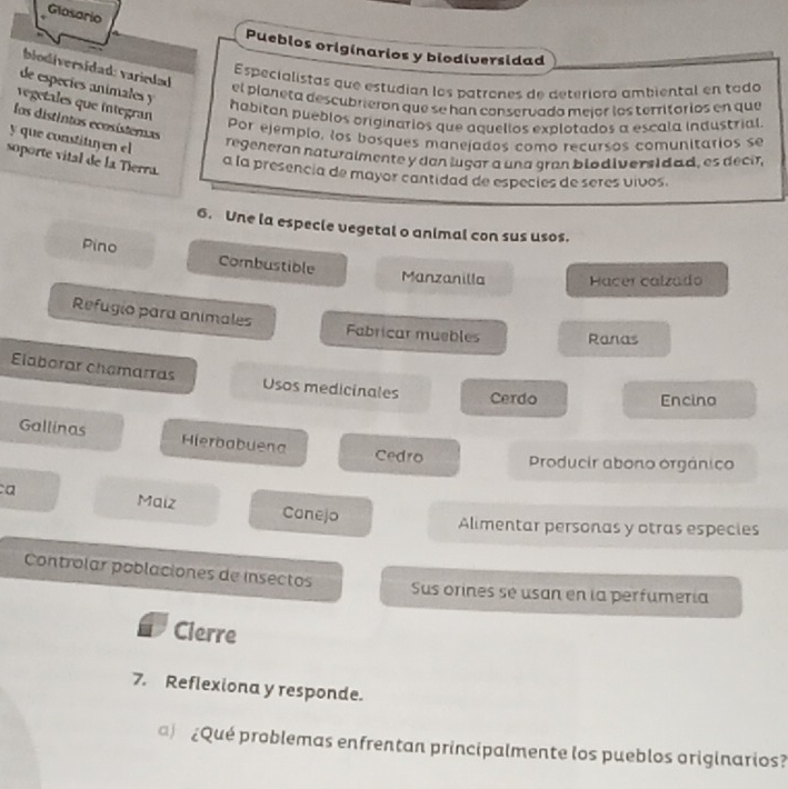 Glasario 
Pueblos originarios y biodiversidad 
biodiversidad: variedad 
Especialistas que estudían los patrones de deterioro ambiental en todo 
de especíes animales y 
el planeta descubrieron que se han conservado mejor los territorios en que 
regetales que integran 
habitan pueblos originarios que aquellos explotados a escala industrial 
las distintas ecosísteras 
Por ejemplo, los bosques manejados como recursos comunitarios se 
y que constituyen el 
regeneran naturalmente y dan lugar a una gran blodiversidad, es decir 
soporte vital de la Tierra. 
a la presencia de mayor cantidad de especies de seres vivos. 
6. Une la especle vegetal o animal con sus usos. 
Pino Combustible 
Manzanilla Hacer calzado 
Refugio para animales Fabricar muebles Ranas 
Elaborar chamarras Usos medicinales Cerdo 
Encino 
Gallinas Hierbabuena Cedro Producir abono orgánico 
a Maiz Conejo 
Alimentar personas y otras especies 
Controlar poblaciones de insectos Sus orines sé usan en la perfumería 
Clerre 
7. Reflexiona y responde. 
¿Qué problemas enfrentan principalmente los pueblos originarios?