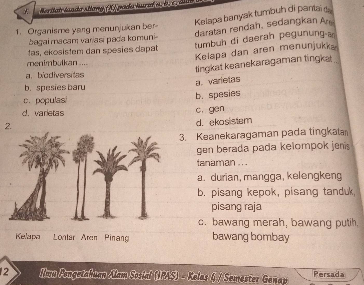 Barliah tanda sllang (2) pada huruf a, b, c, a s
Kelapa banyak tumbuh di pantai da
daratan rendah, sedangkan Are
1. Organisme yang menunjukan ber-
tumbuh di daerah pegunung-a
bagai macam variasi pada komuni-
tas, ekosistem dan spesies dapat
Kelapa dan aren menunjukka
menimbulkan ....
tingkat keanekaragaman tingkat ...
a. biodiversitas
a. varietas
b. spesies baru
c. populasi
b. spesies
d. varietas
cí gen
d. ekosistem
3. Keanekaragaman pada tingkatan
gen berada pada kelompok jenis 
tanaman . . .
a. durian, mangga, kelengkeng
b. pisang kepok, pisang tanduk,
pisang raja
c. bawang merah, bawang putih,
Kelapa Lontar Aren Pinang bawang bombay
12 Ilmu Pengetahuan Alam Sosial (IPAS) - Kelas 6 / Semester Genap Persada