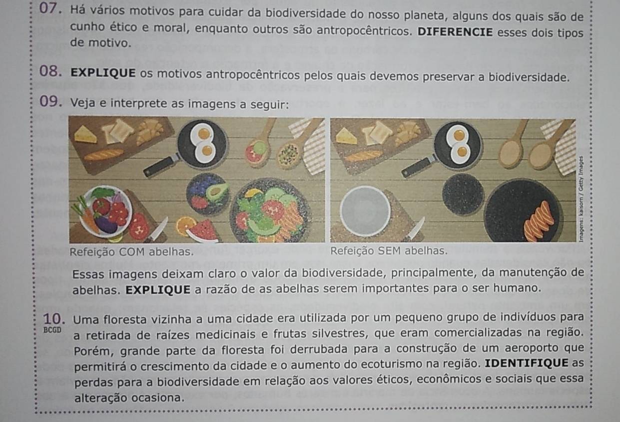 Há vários motivos para cuidar da biodiversidade do nosso planeta, alguns dos quais são de 
cunho ético e moral, enquanto outros são antropocêntricos. DIFERENCIE esses dois tipos 
de motivo. 
08. EXPLIQUE os motivos antropocêntricos pelos quais devemos preservar a biodiversidade. 
09. Veja e interprete as imagens a seguir: 
Refeição COM abelhas. Refeição SEM abelhas. 
Essas imagens deixam claro o valor da biodiversidade, principalmente, da manutenção de 
abelhas. EXPLIQUE a razão de as abelhas serem importantes para o ser humano. 
10. Uma floresta vizinha a uma cidade era utilizada por um pequeno grupo de indivíduos para 
BCGD a retirada de raízes medicinais e frutas silvestres, que eram comercializadas na região. 
Porém, grande parte da floresta foi derrubada para a construção de um aeroporto que 
permitirá o crescimento da cidade e o aumento do ecoturismo na região. IDENTIFIQUE as 
perdas para a biodiversidade em relação aos valores éticos, econômicos e sociais que essa 
alteração ocasiona.