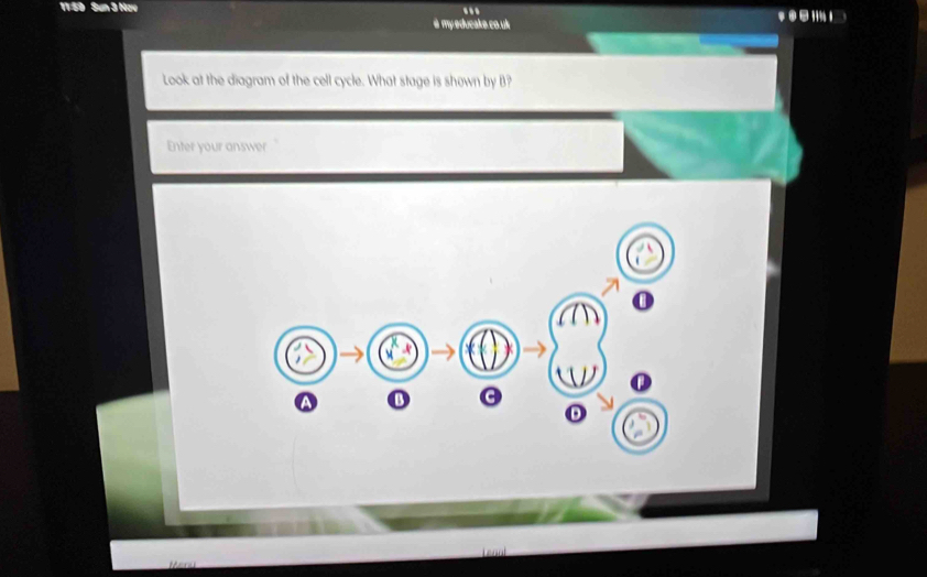11:59 Sun 3 Hav .. ' ' 
è my.educake.co.uk 
Look at the diagram of the cell cycle. What stage is shown by B? 
Enter your answer