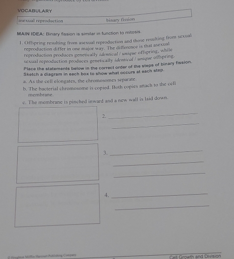 VOCABULARY 
asexual reproduction binary fission 
MAIN IDEA: Binary fission is similar in function to mitosis 
1. Offspring resulting from asexual reproduction and those resulting from sexual 
reproduction differ in one major way. The difference is that asexual 
reproduction produces genetically identical / unique offspring, while 
sexual reproduction produces genetically identical / unique offspring. 
Place the statements below in the correct order of the steps of binary fission. 
Sketch a diagram in each box to show what occurs at each step. 
a. As the cell elongates, the chromosomes separate. 
b. The bacterial chromosome is copied. Both copies attach to the cell 
membrane 
c. The membrane is pinched inward and a new wall is laid down. 
2. 
_ 
_ 
3. 
_ 
_ 
_ 
4._ 
_ 
* Houghton Mifflin Harcourt Publishing Company Cell Growth and Division