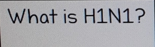 What is H1N1?