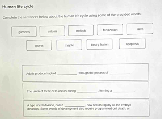 Solved: Human life cycle Complete the sentences below about the human ...