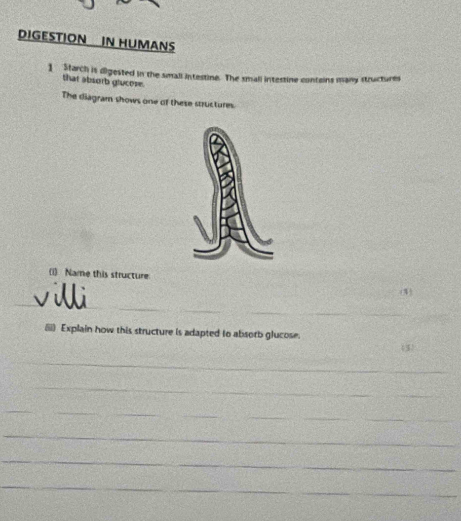 DIGESTION IN HUMANS 
1 Starch is digested in the small intestine. The small intestine conteins many structures 
that absorb glucose. 
The diagram shows one of these structures. 
(1) Name this structure 
(3) 
__ 
_ 
_ 
(ii) Explain how this structure is adapted to absorb glucose. 
(3) 
_ 
_ 
_ 
_ 
_ 
_