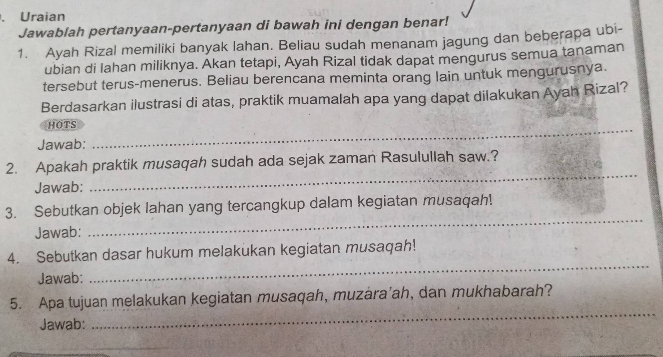 Uraian 
Jawablah pertanyaan-pertanyaan di bawah ini dengan benar! 
1. Ayah Rizal memiliki banyak lahan. Beliau sudah menanam jagung dan beberapa ubi- 
ubian di lahan miliknya. Akan tetapi, Ayah Rizal tidak dapat mengurus semua tanaman 
tersebut terus-menerus. Beliau berencana meminta orang lain untuk mengurusnya. 
Berdasarkan ilustrasi di atas, praktik muamalah apa yang dapat dilakukan Ayah Rizal? 
HOTS_ 
Jawab: 
2. Apakah praktik musaqah sudah ada sejak zaman Rasulullah saw.? 
Jawab: 
_ 
3. Sebutkan objek lahan yang tercangkup dalam kegiatan musaqah! 
Jawab: 
_ 
4. Sebutkan dasar hukum melakukan kegiatan musaqah! 
Jawab: 
_ 
_ 
5. Apa tujuan melakukan kegiatan musaqah, muzára’ah, dan mukhabarah? 
Jawab: