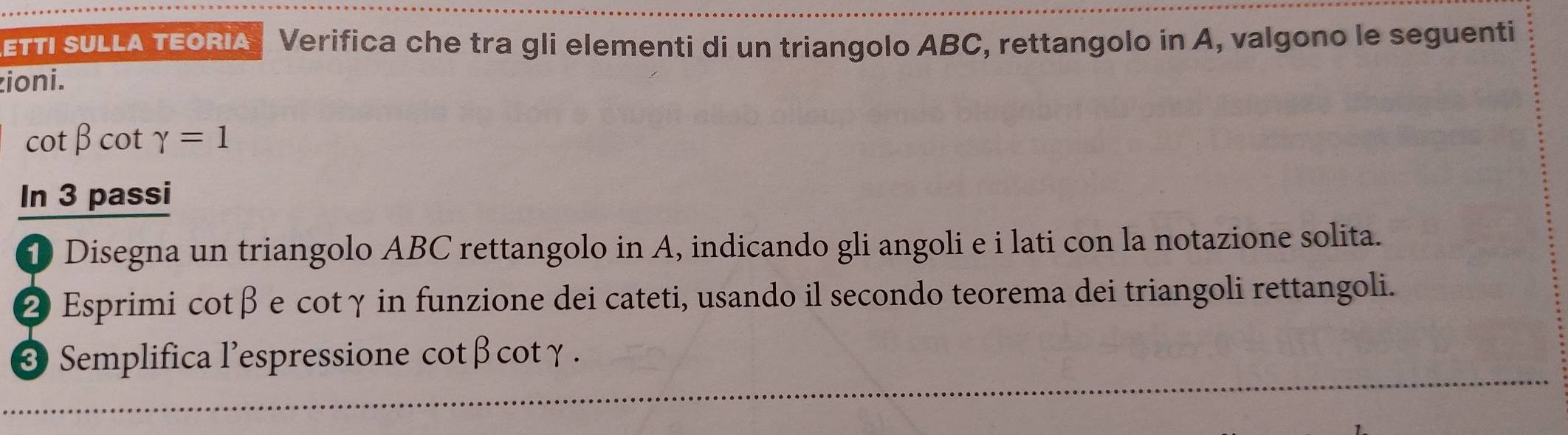 ETTI SULLA TEORIA Verifica che tra gli elementi di un triangolo ABC, rettangolo in A, valgono le seguenti 
zioni.
cot beta cot gamma =1
In 3 passi 
D Disegna un triangolo ABC rettangolo in A, indicando gli angoli e i lati con la notazione solita. 
2 Esprimi cot beta βe cotγ in funzione dei cateti, usando il secondo teorema dei triangoli rettangoli. 
@ Semplifica l’espressione cot beta cot gamma